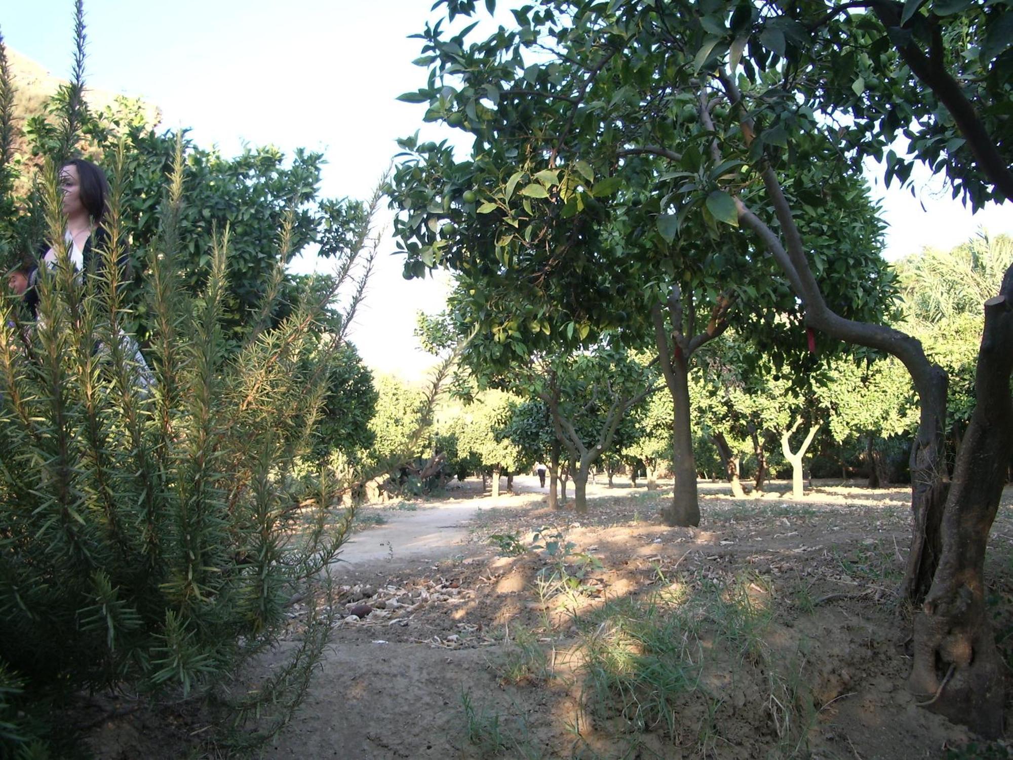 Villa Dei Giardini San Leone Exterior photo